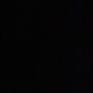 Meet your Posher, Angelica